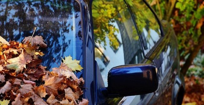 Car Window Screen Damage in Newtown